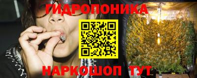 прущие грибы Заводоуковск