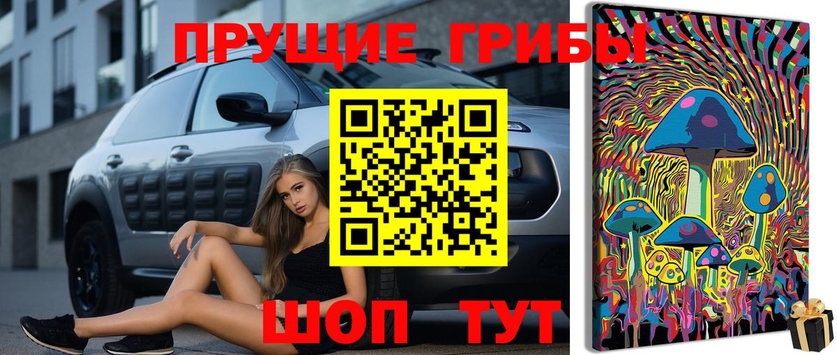 Набережные Челны  Галлюциногенные грибы прущие грибы  Вход с VPN 